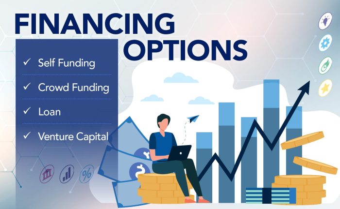 Sources finance business small financing company options businesses ownership internal external efinancemanagement equity various term long Sources finance business small financing company options businesses ownership internal external efinancemanagement equity various term long